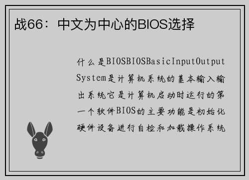 战66：中文为中心的BIOS选择